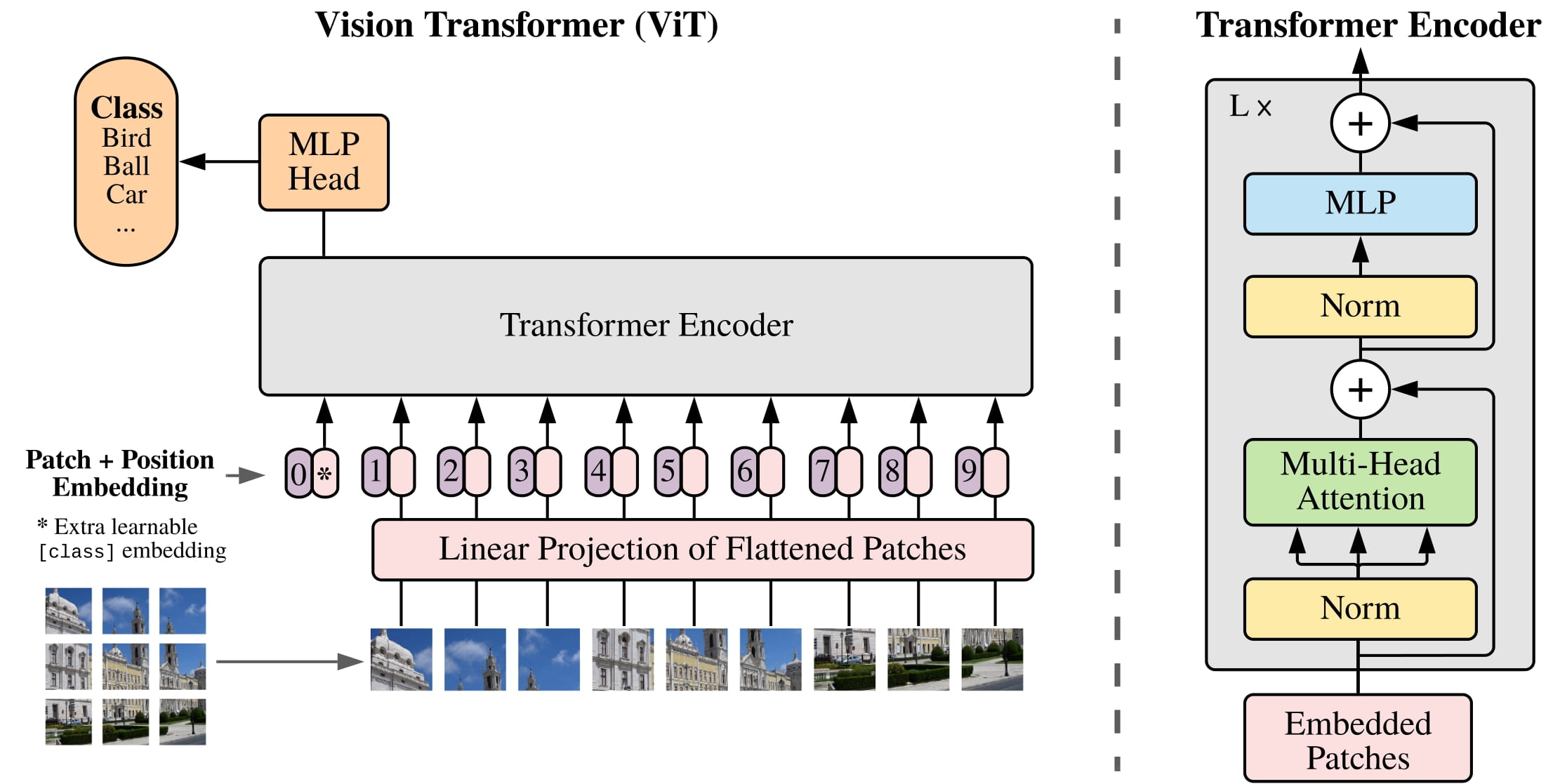 Model architecture